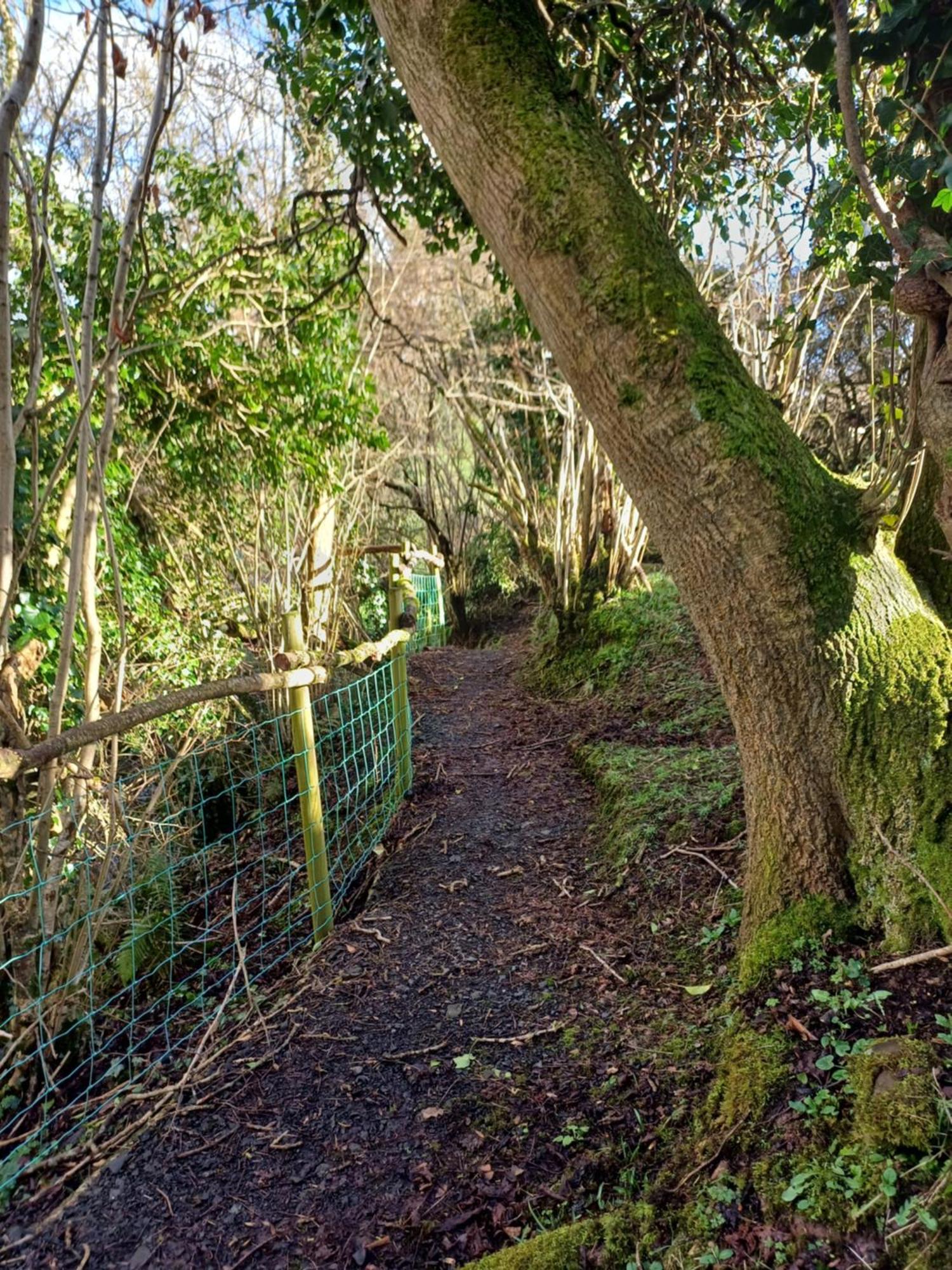 Little River Glamping Ballymoney Exterior foto